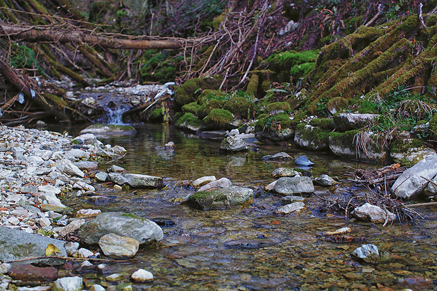 Природа Италии. Nature Italy