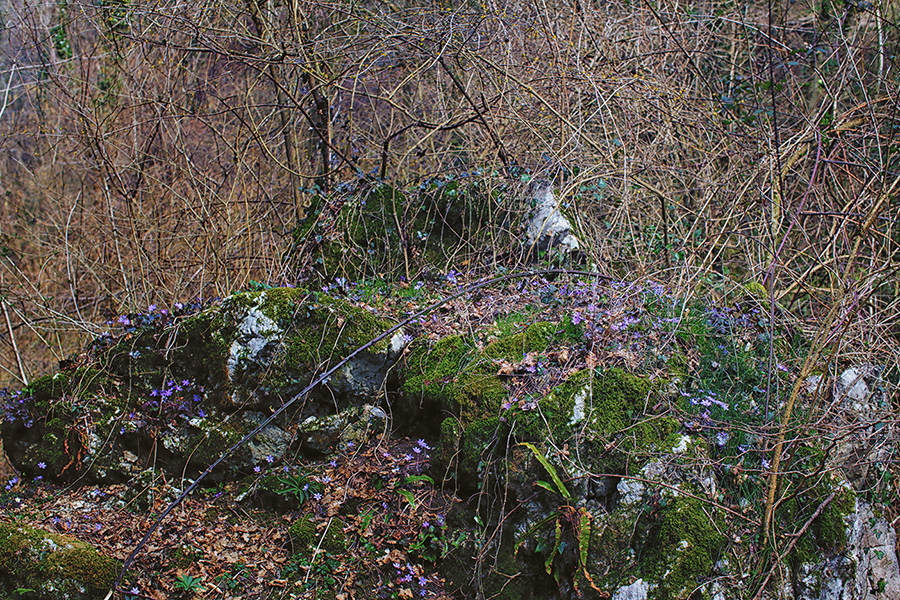 Природа Италии. Nature Italy