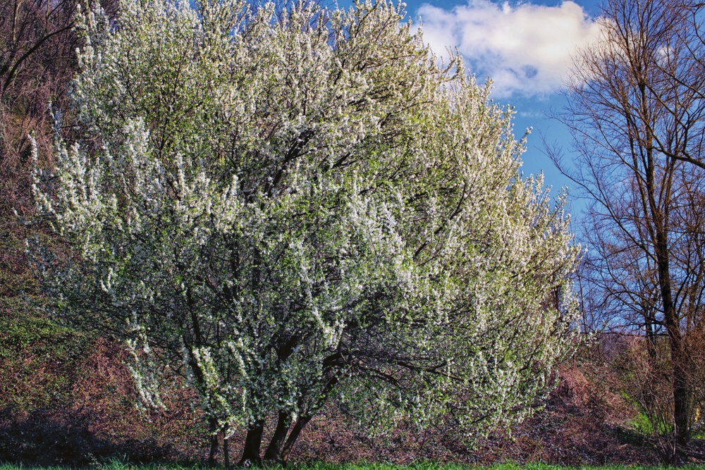 Природа Италии. Nature Italy