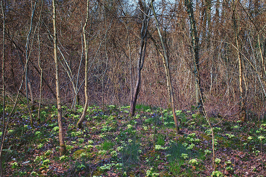 Природа Италии. Nature Italy