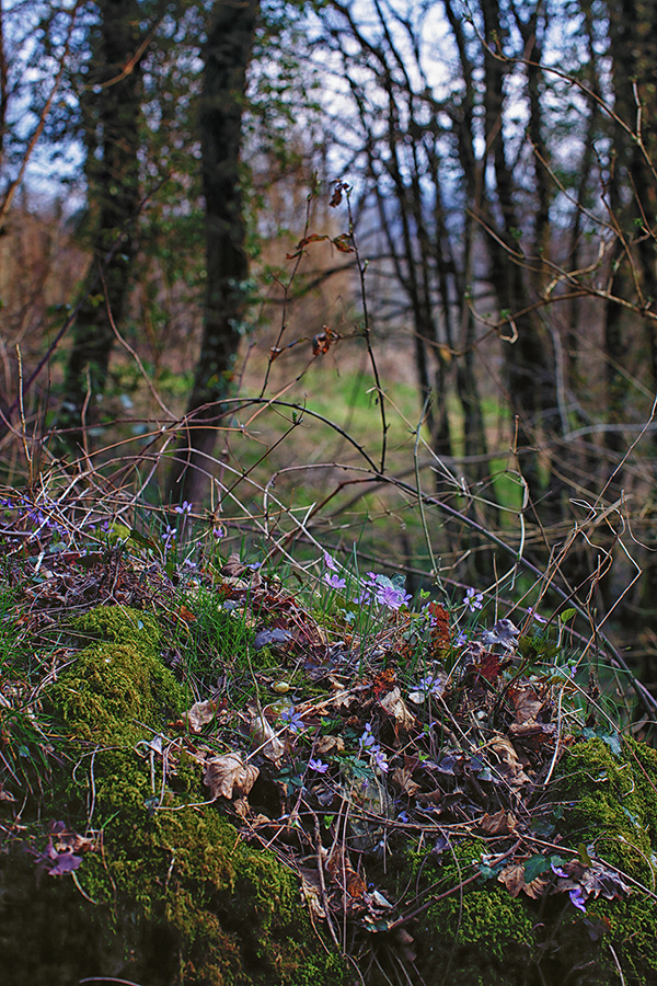 Природа Италии. Nature Italy