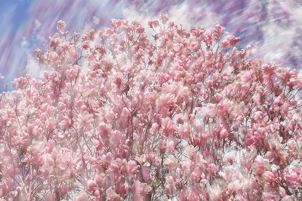 Природа Италии. Nature Italy