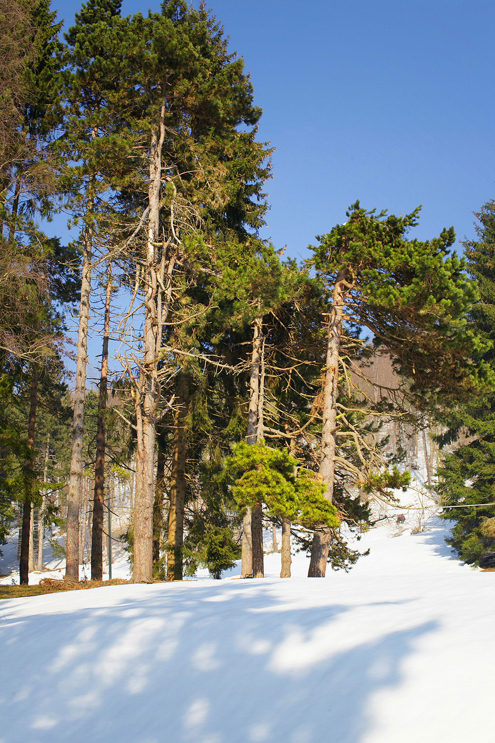 Природа Италии. Nature Italy