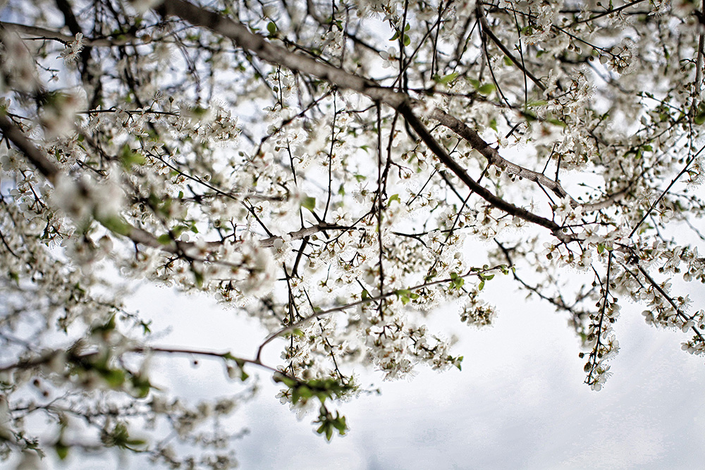 Природа Италии. Nature Italy