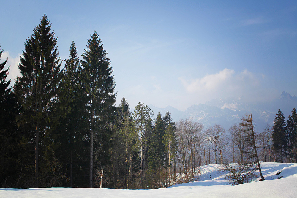 Природа Италии. Nature Italy