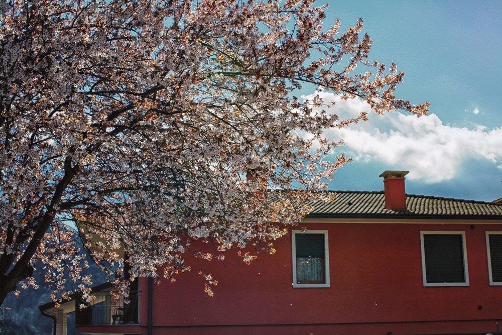 Природа Италии. Nature Italy