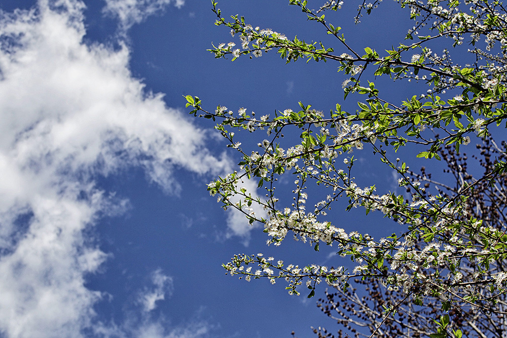 Природа Италии. Nature Italy