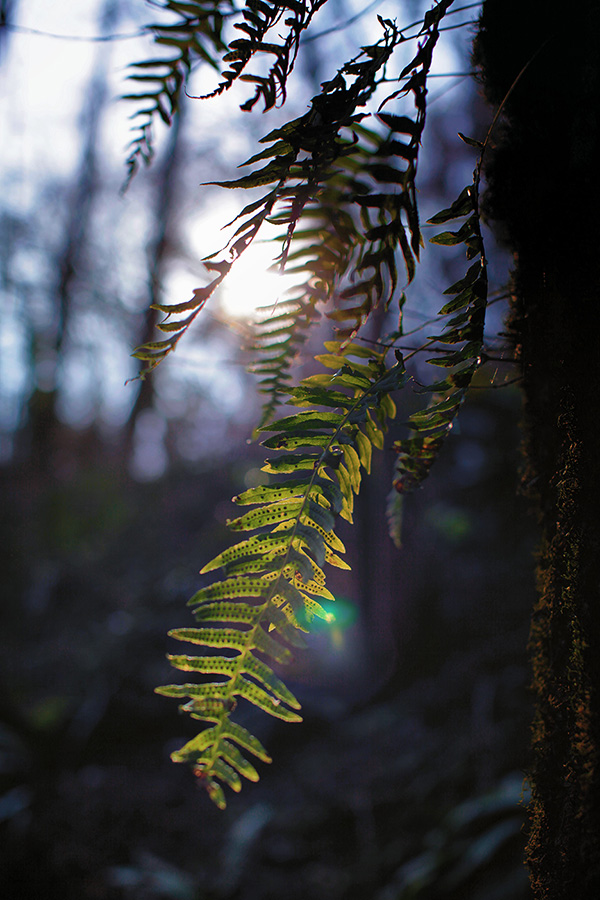Природа Италии. Nature Italy