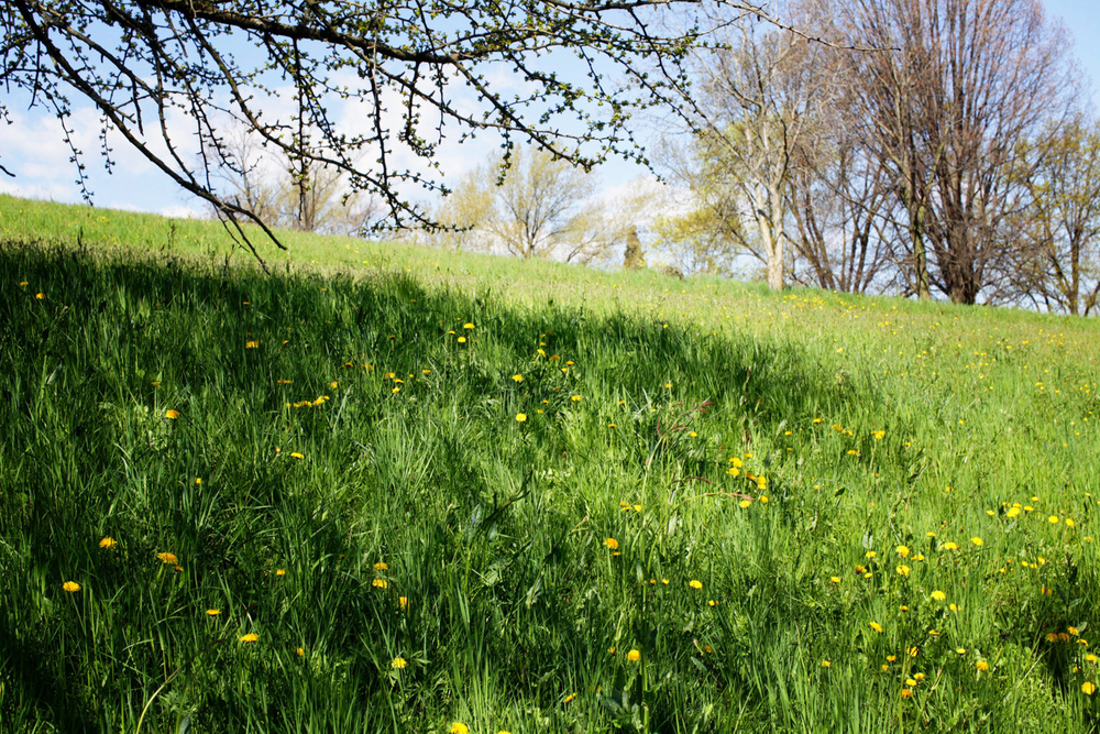Природа Италии. Nature Italy