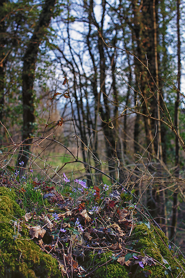 Природа Италии. Nature Italy