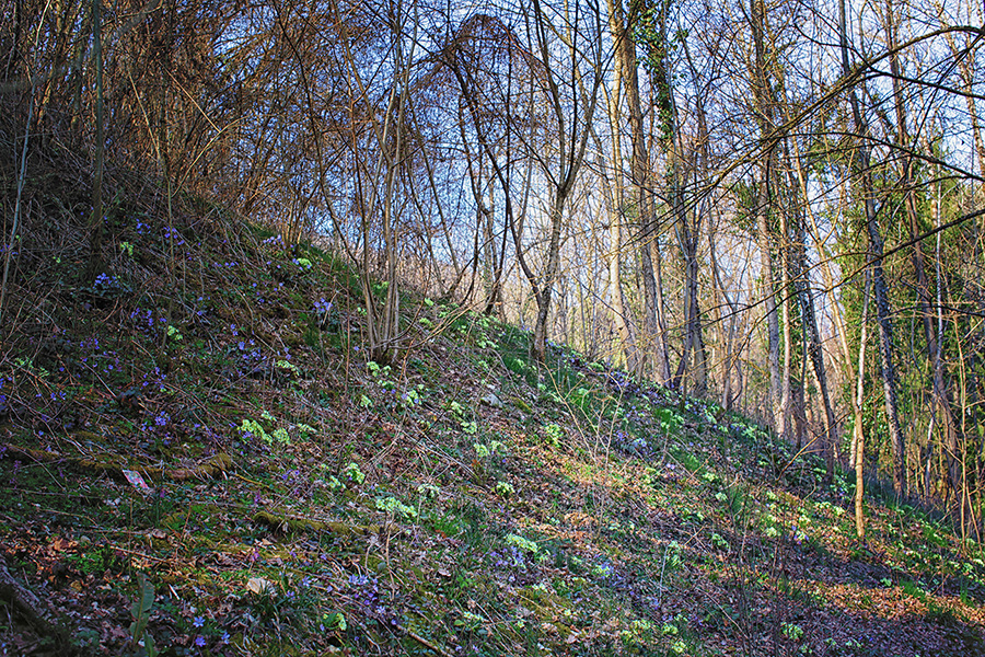 Природа Италии. Nature Italy