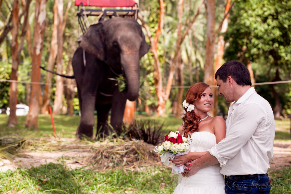 свадебные церемонии в тропиках\sumbolic weddings