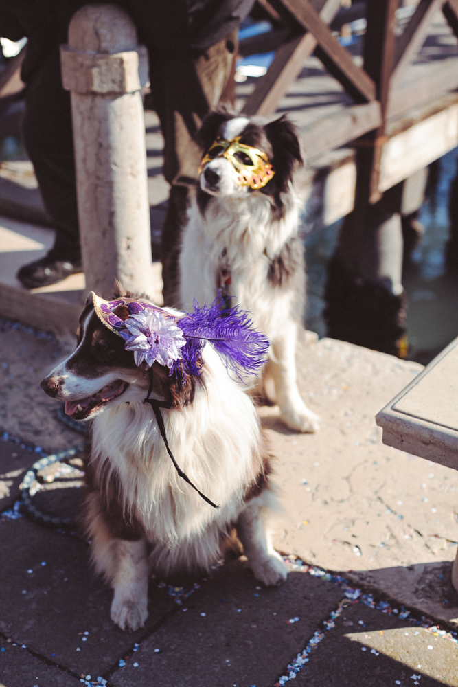 Венецианский Карнавал