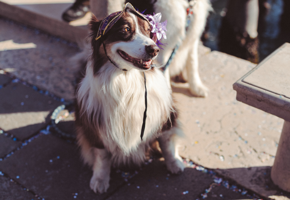 Венецианский Карнавал