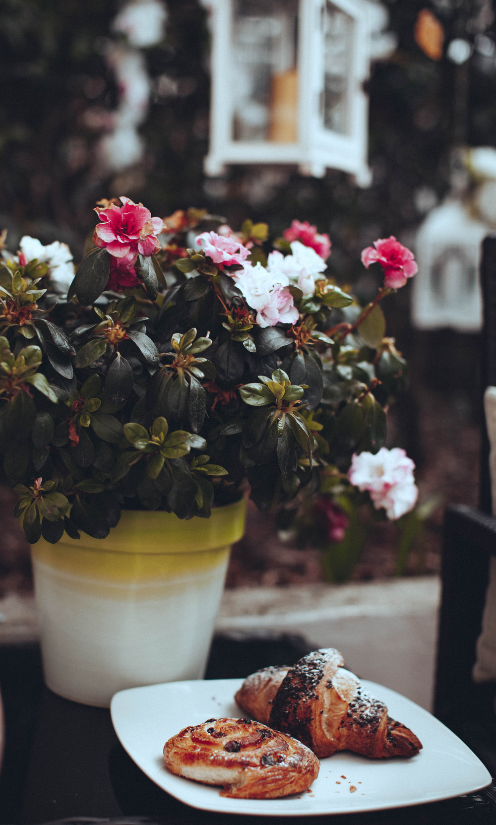 Свадьба в условиях карантина Wedding Day