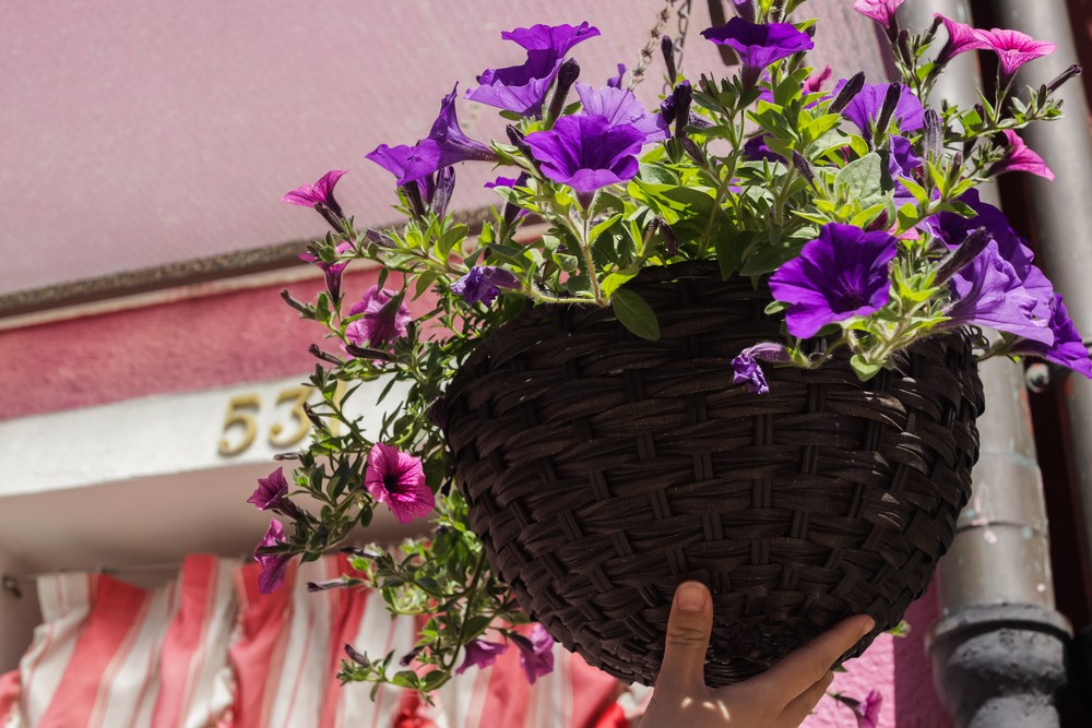 EUGENIA. Portrait.VENICE 