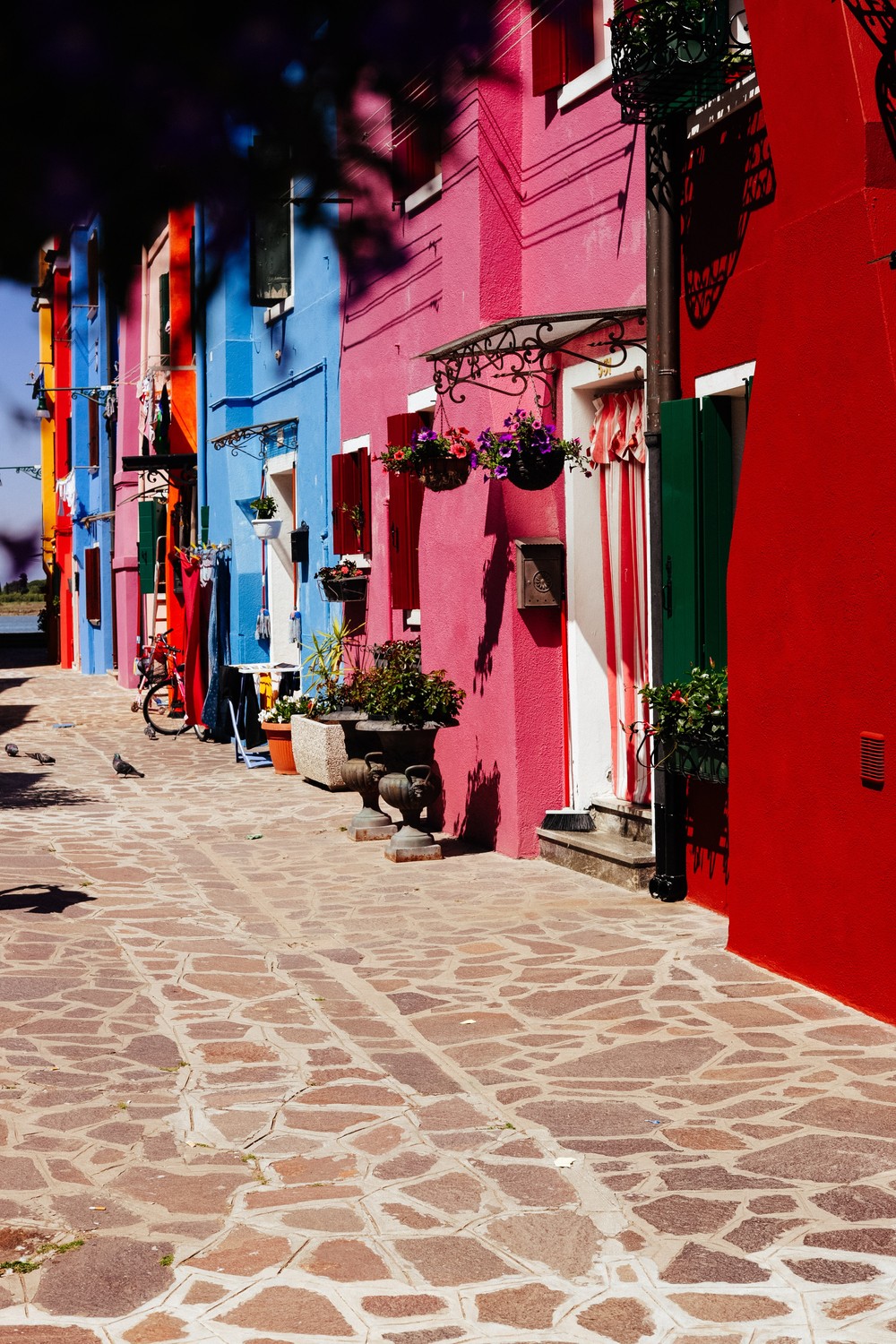 EUGENIA. Portrait.VENICE 