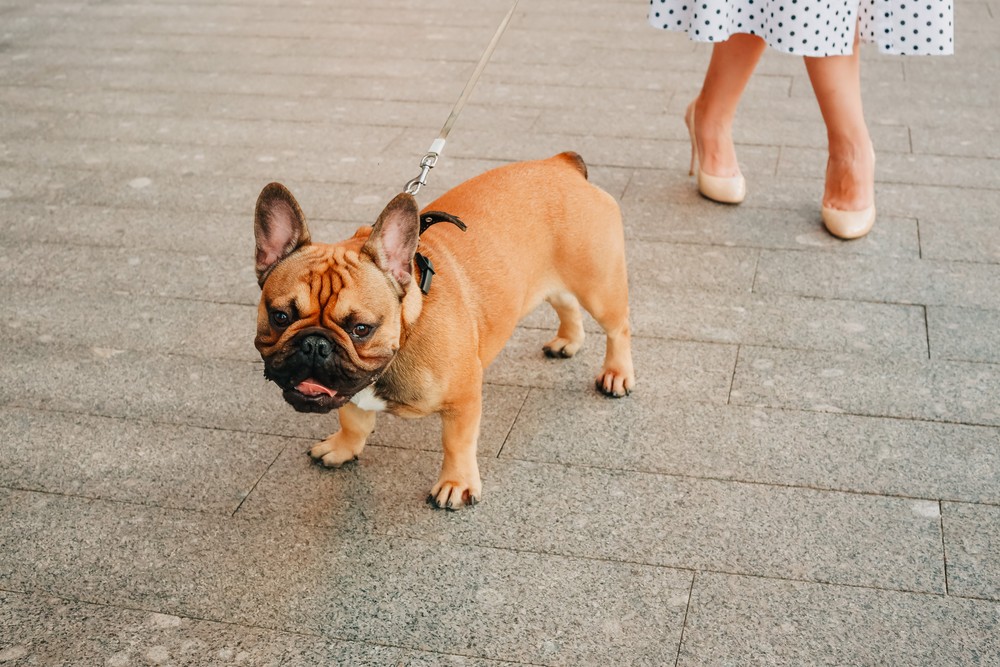 MOSCA 2021. Family photo. Семейная фотосессия