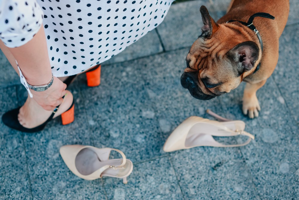 MOSCA 2021. Family photo. Семейная фотосессия