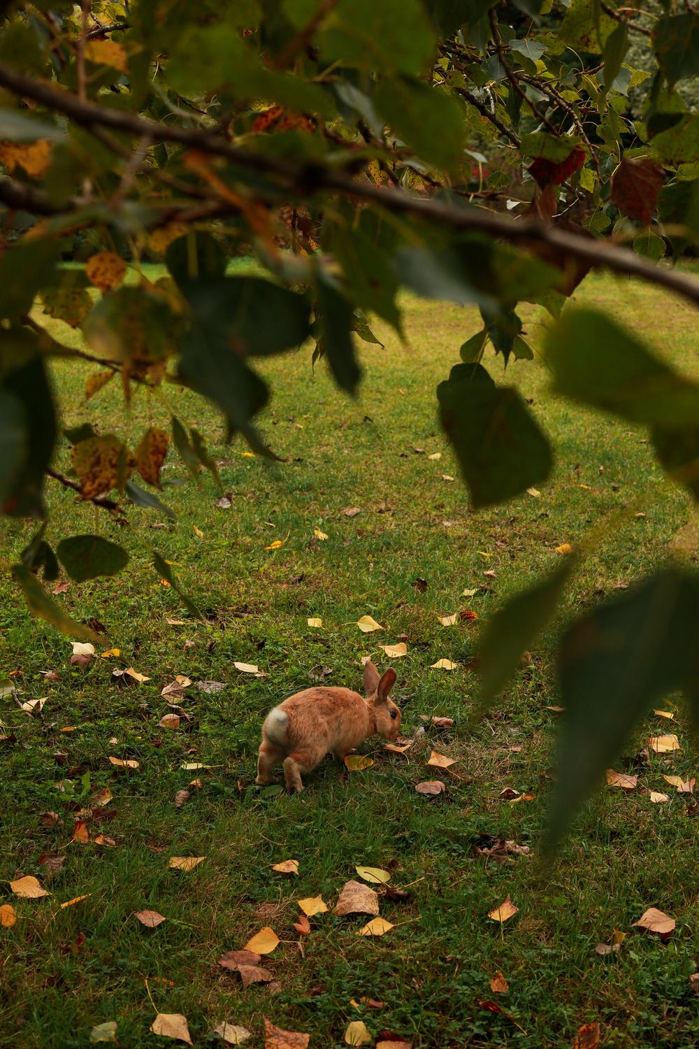 Семейные фотосессии - Family photo 