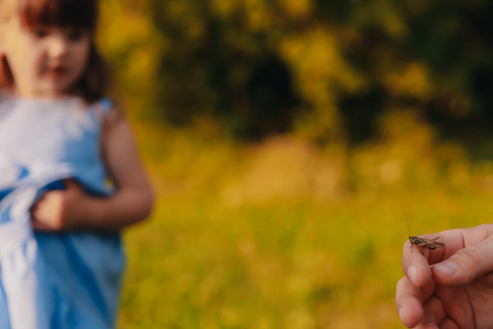 Семейные фотосессии - Family photo 