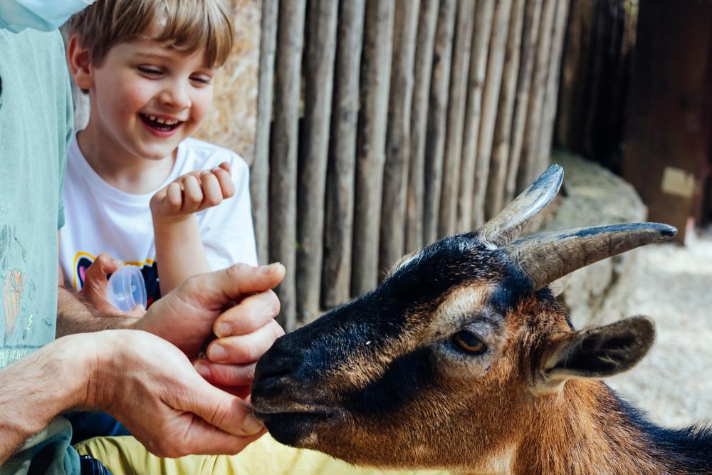 Семейные фотосессии - Family photo 