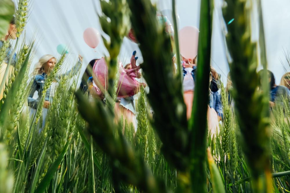 Между нами девочками. Addio al nubilato.Девичник