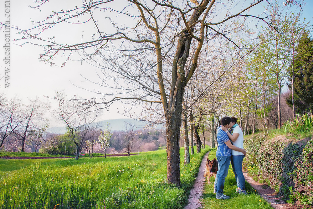  влюбленные у моря