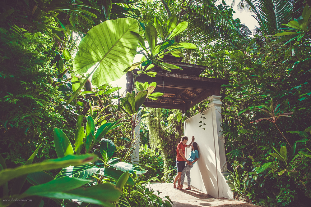  влюбленные у моря