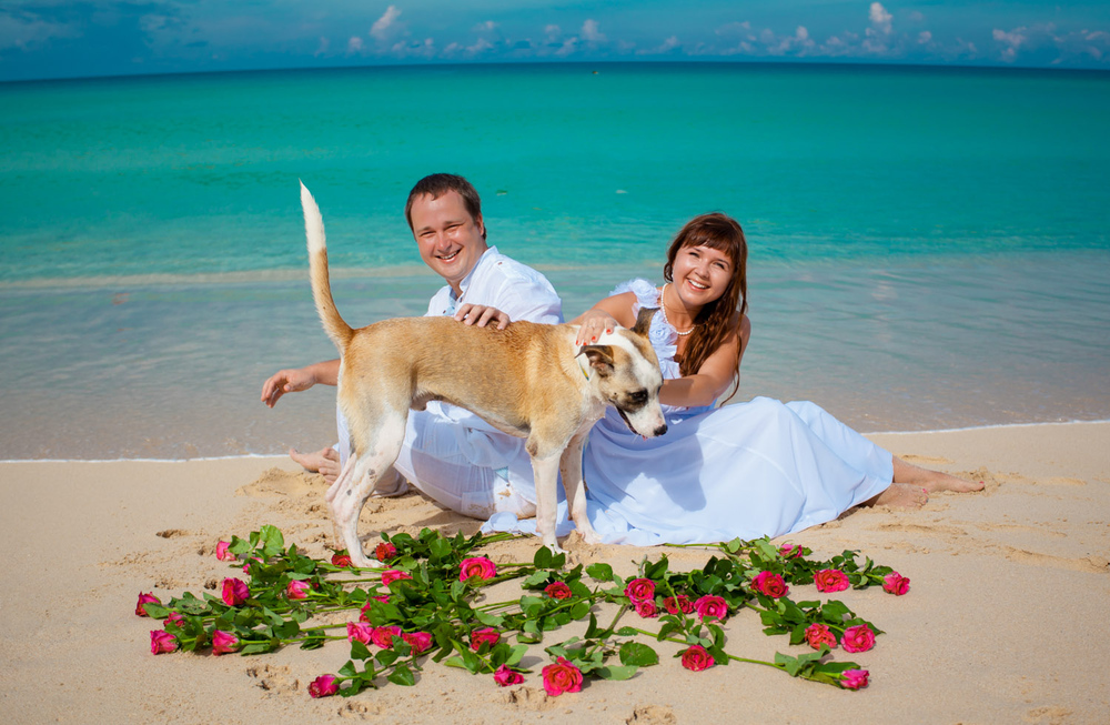 Пары/свадьбы Venezia-Verona Weddings, love story 