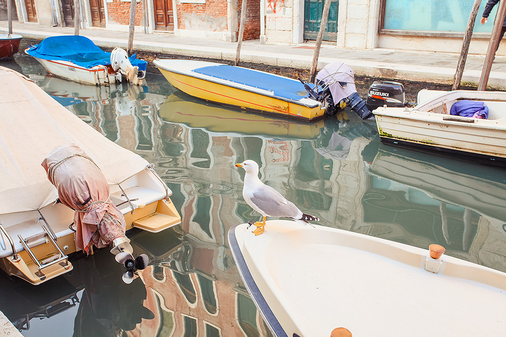 Venezia, Burano, Murano (виды)