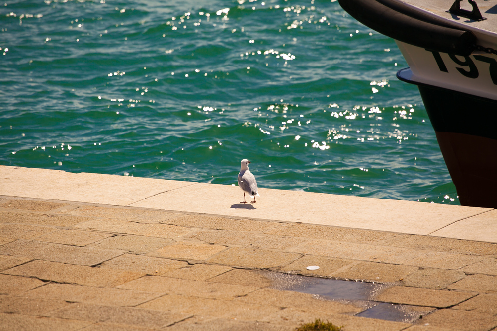 Venezia, Burano, Murano (виды)