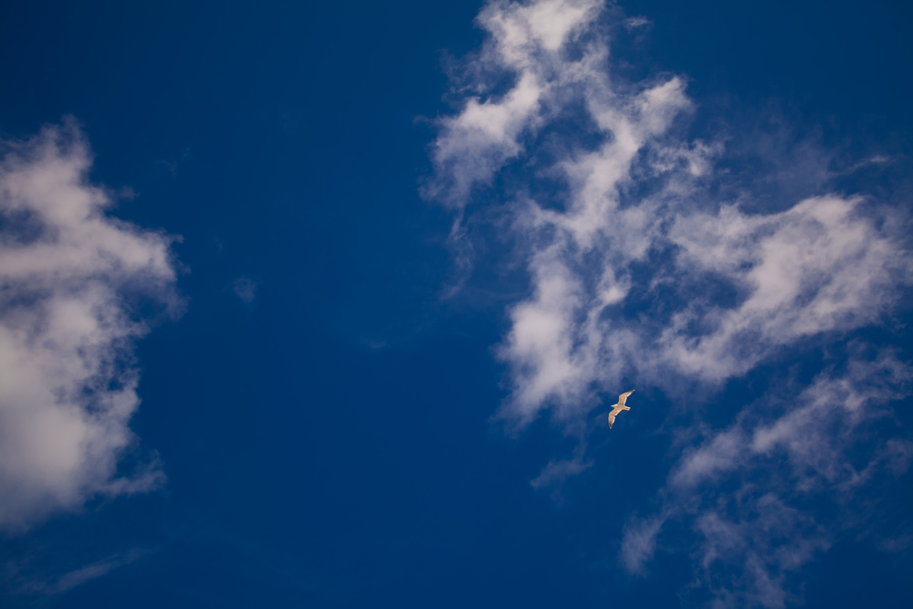 Venezia, Burano, Murano (виды)