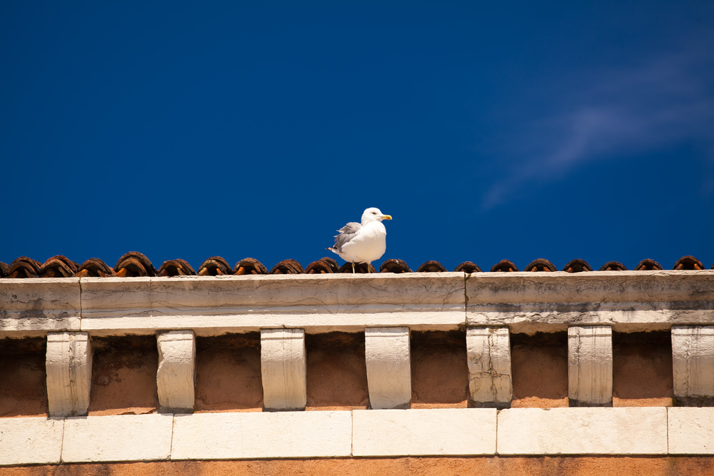 Venezia, Burano, Murano (виды)
