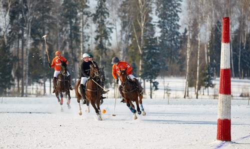 ПОЛО