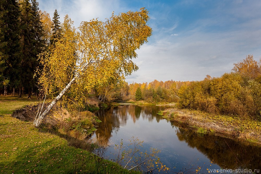 Природа средней полосы России