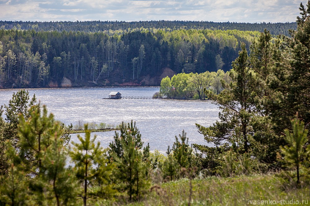 Природа средней полосы России