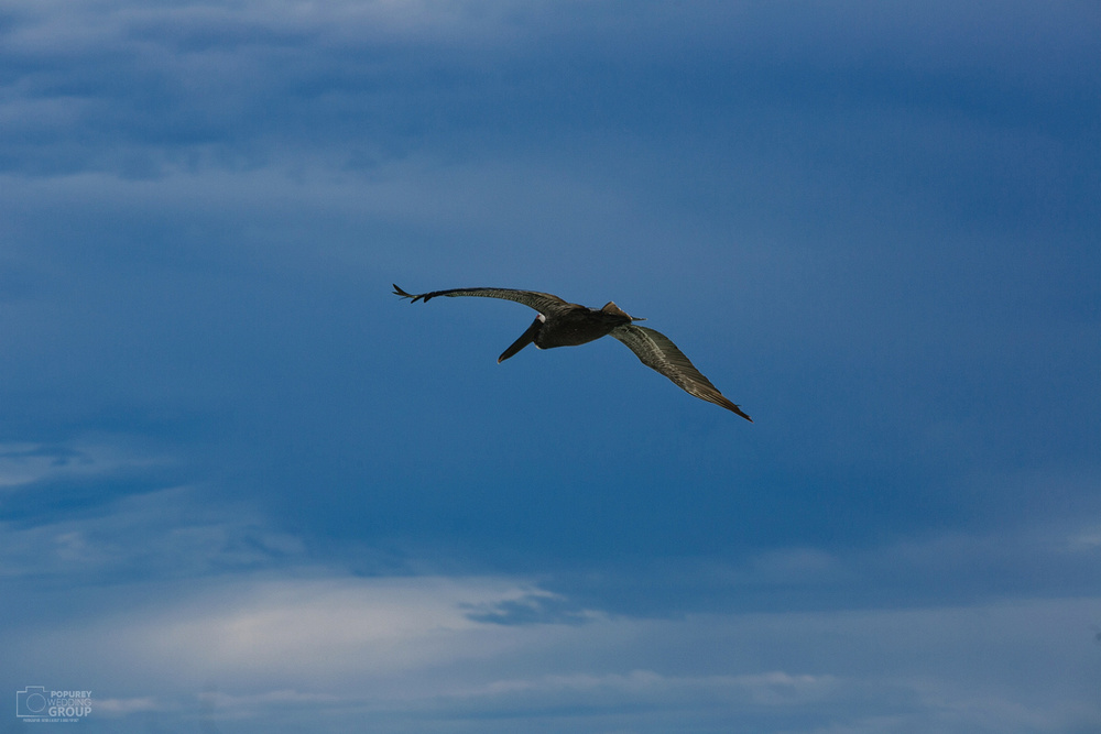 Travel Mexico - 2015