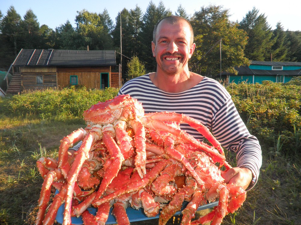 прекрасный край