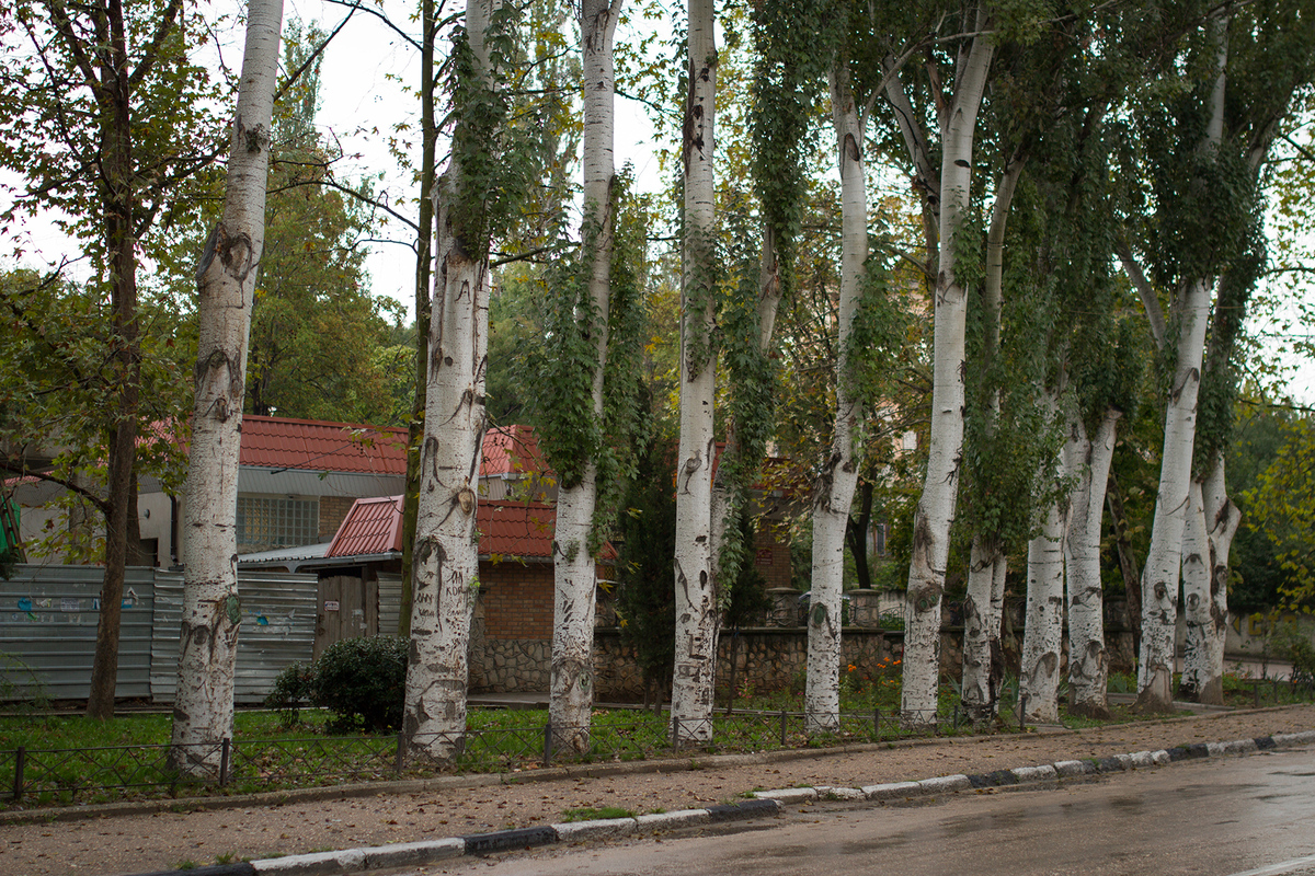 Путешествия. Крым. Балаклава. 