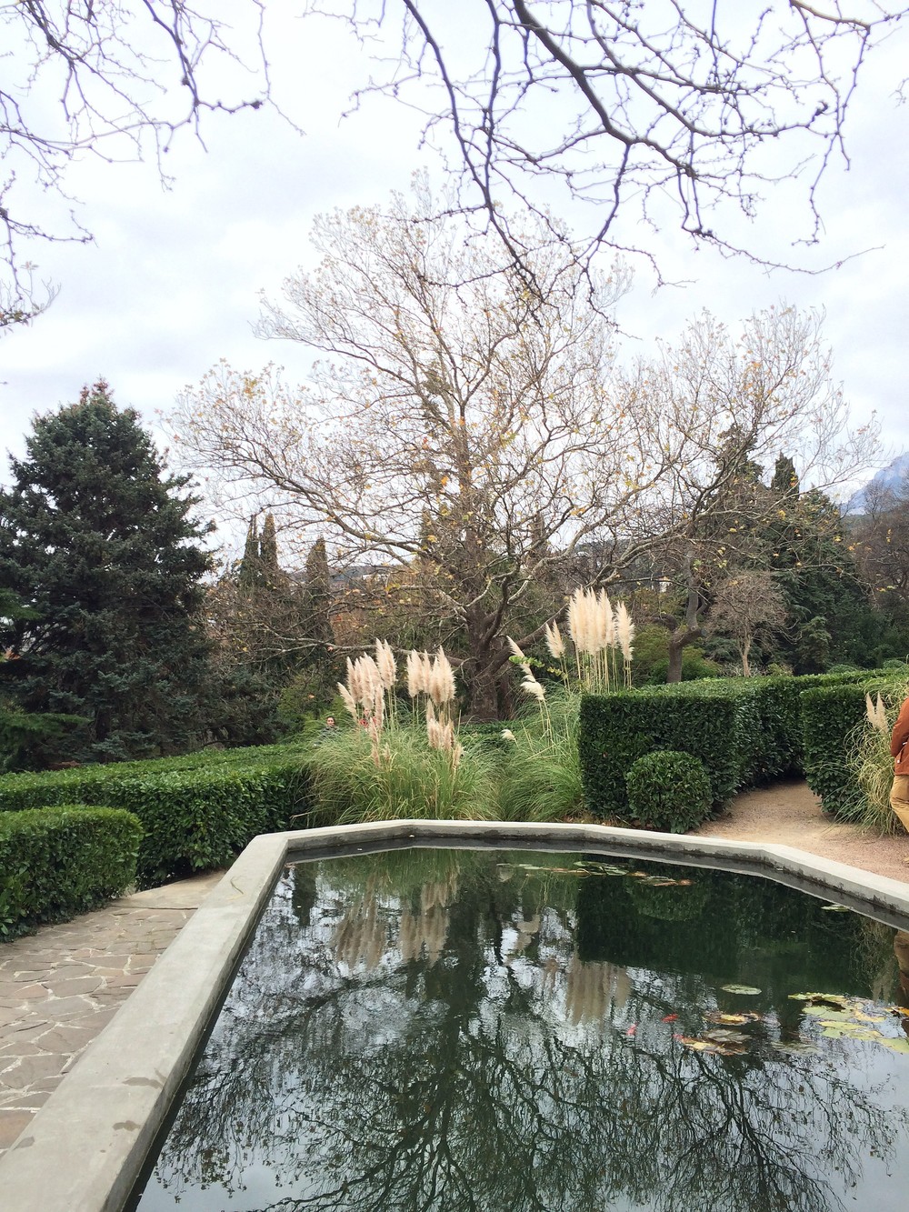 Крым. Алупка. 