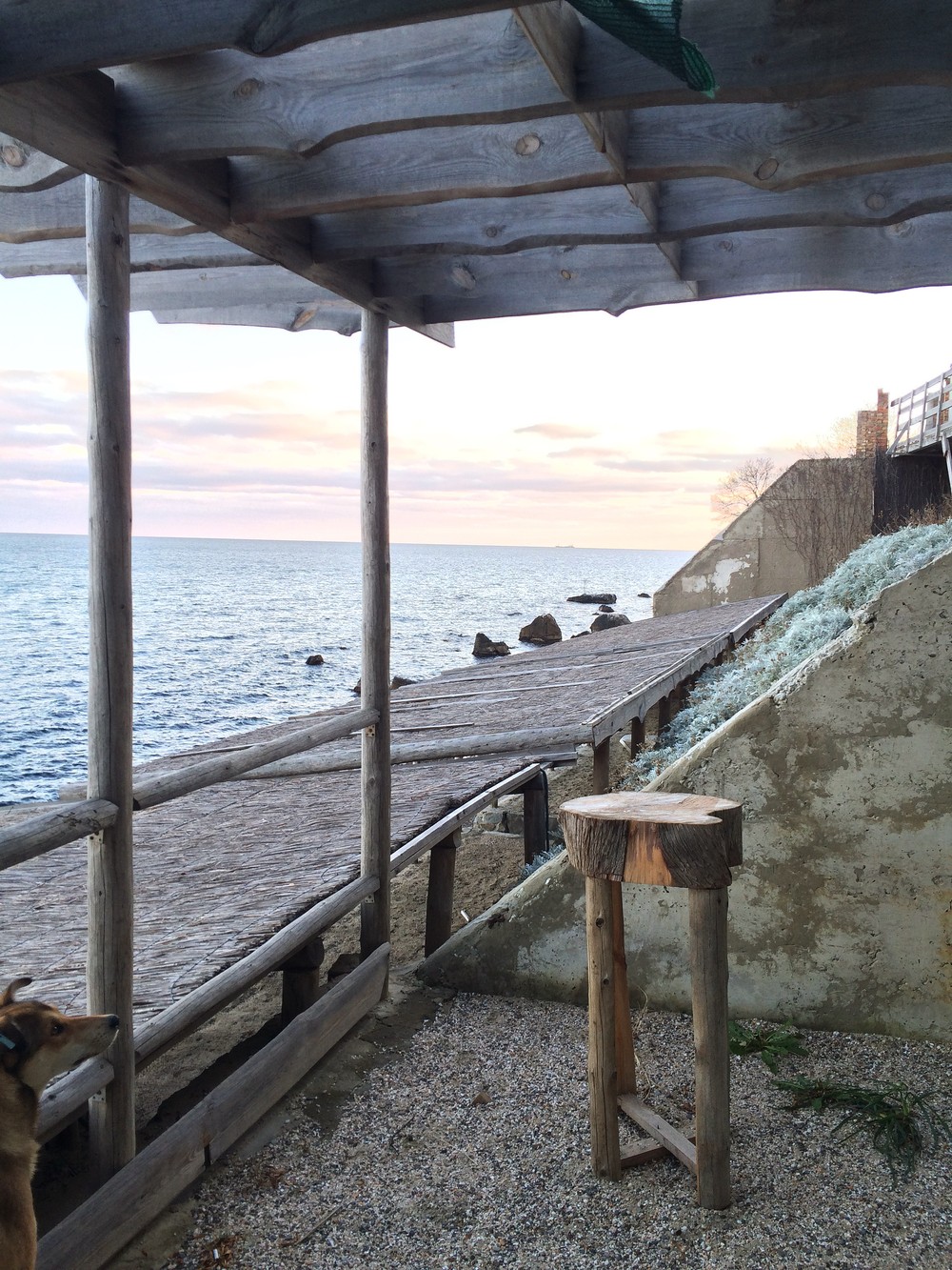 Крым. Алупка. 