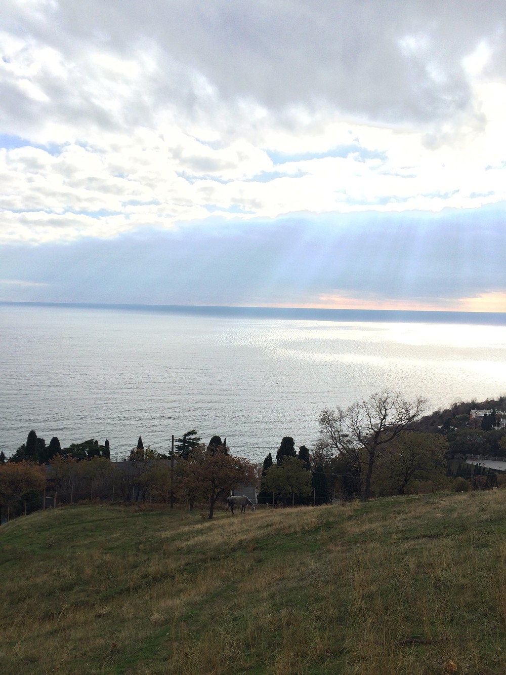 Крым. Алупка. 