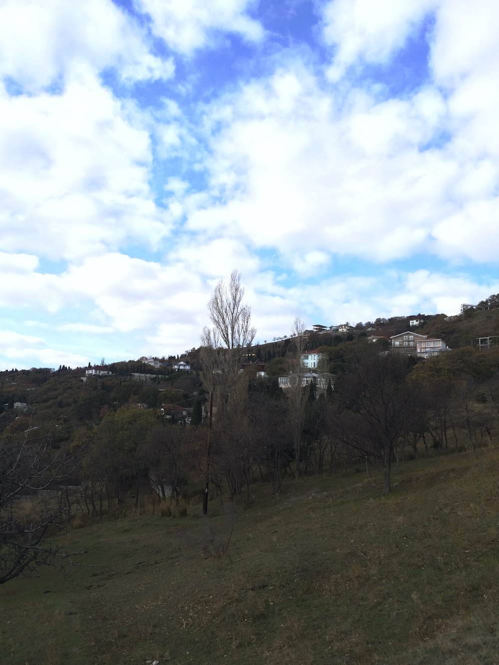 Крым. Алупка. 