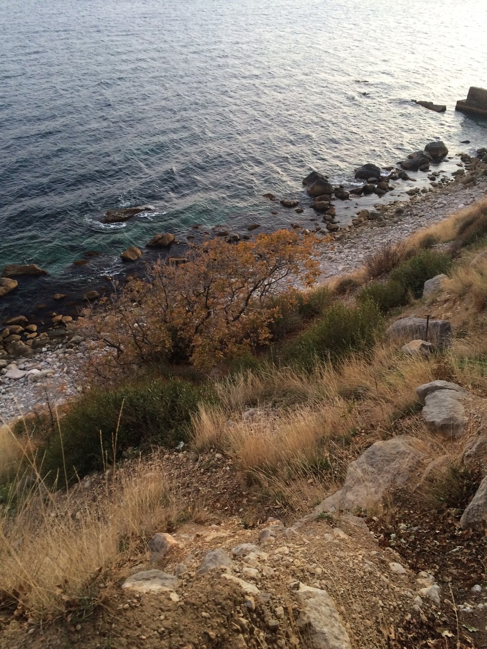 Крым. Алупка. 