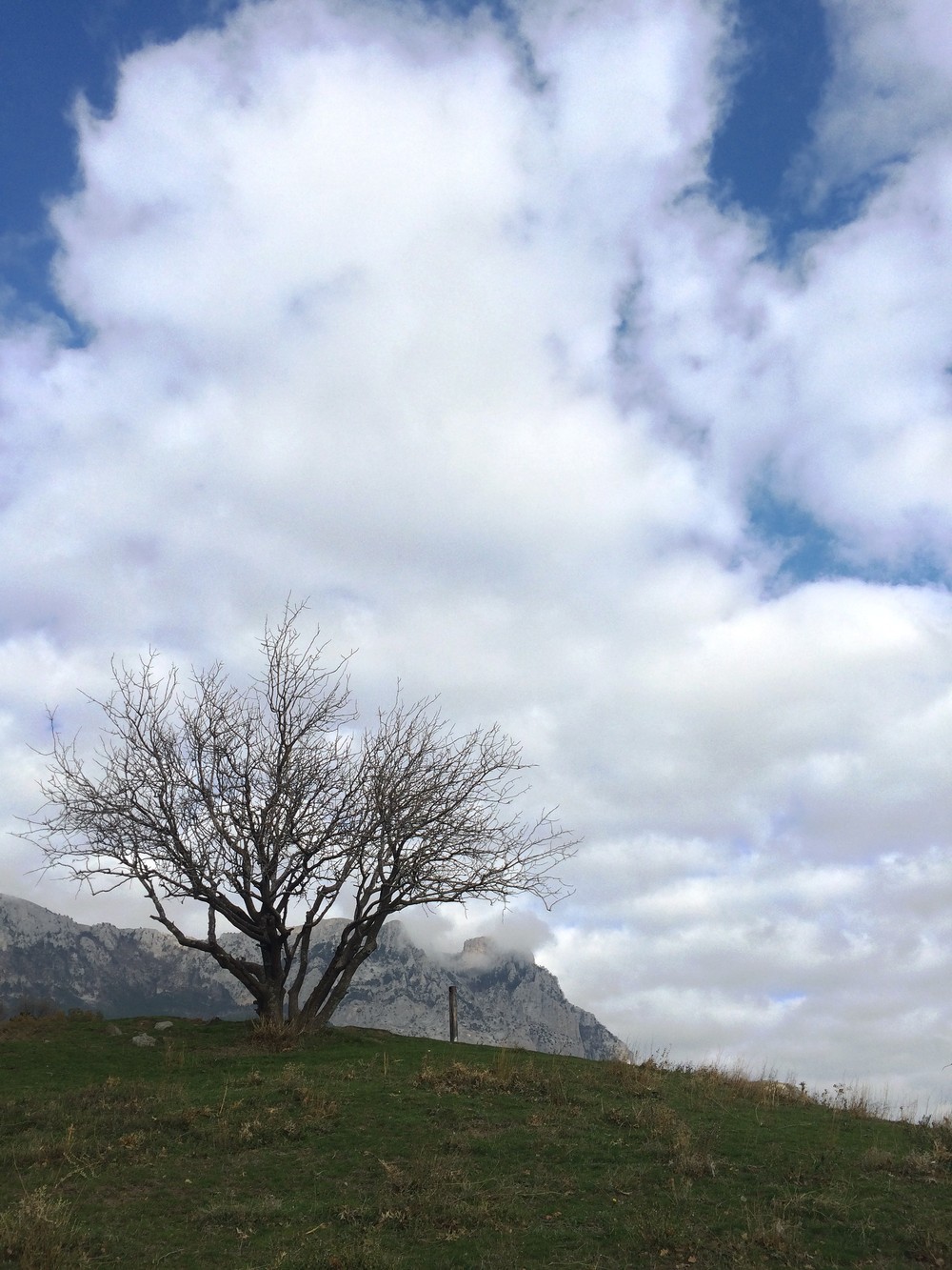 Крым. Алупка. 