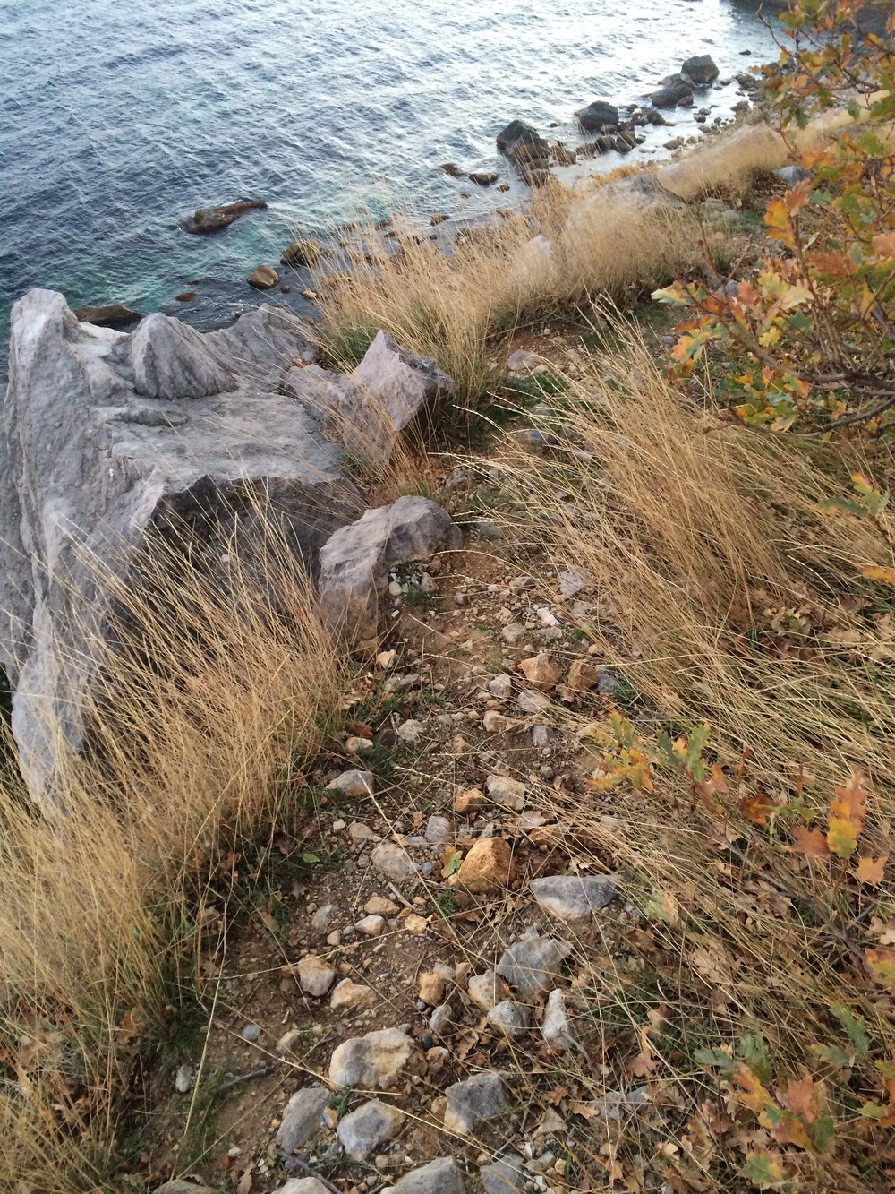 Крым. Алупка. 