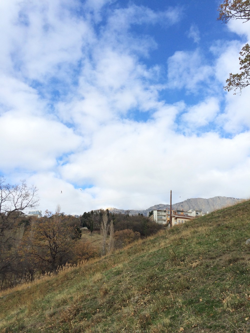 Крым. Алупка. 