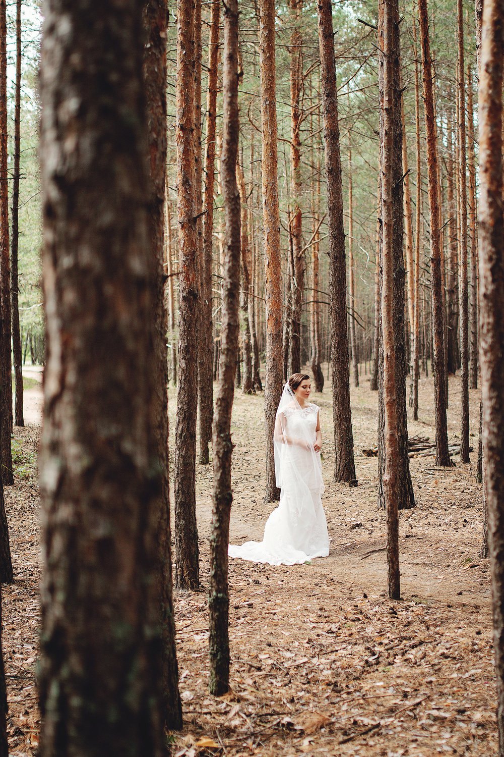 Best wedding moments / 2014