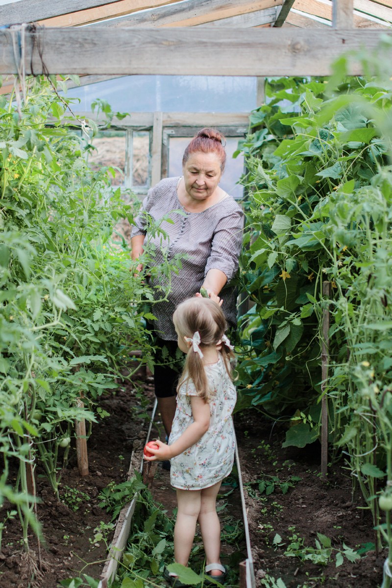 Огородное лето